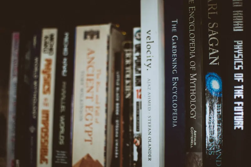 The Bookshelf That Was Supposed to Make Your Kids Smarter